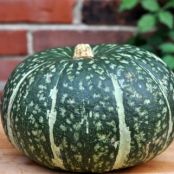 Asian Baked Kabocha Squash